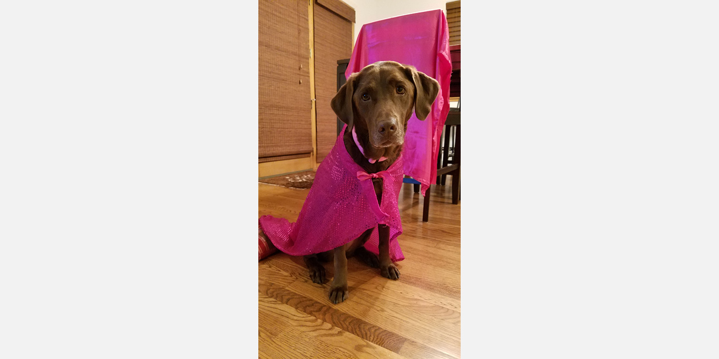 Pink Vail
